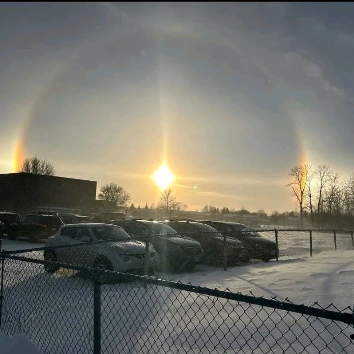 Image uploaded by Mykayla/kale