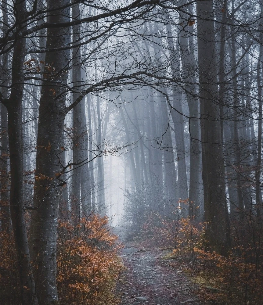 Bild hochgeladen von Tom