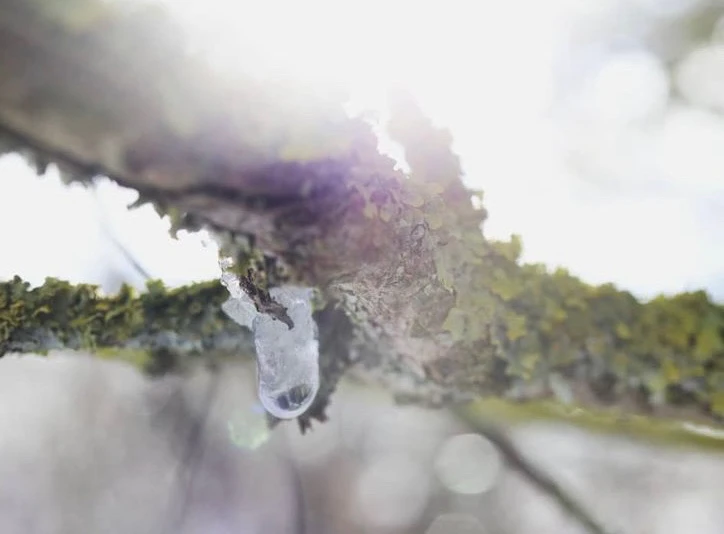 Bild hochgeladen von Livi