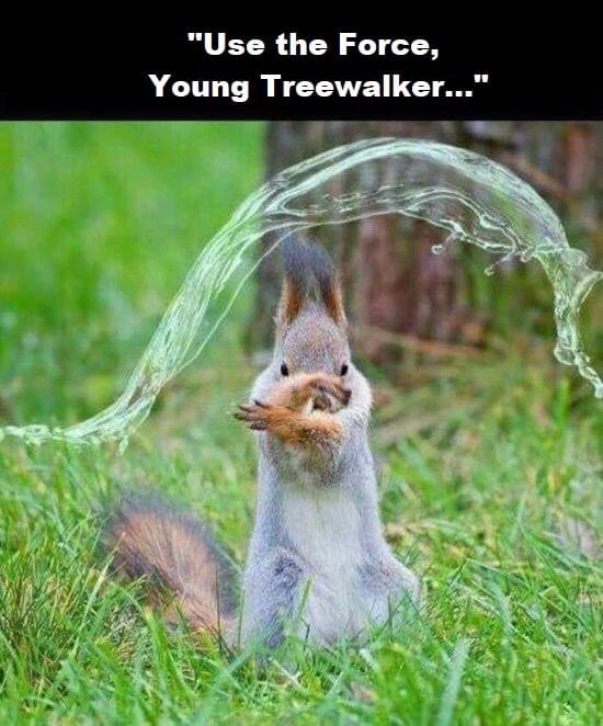 Zdjęcie dodane przez Wojciech