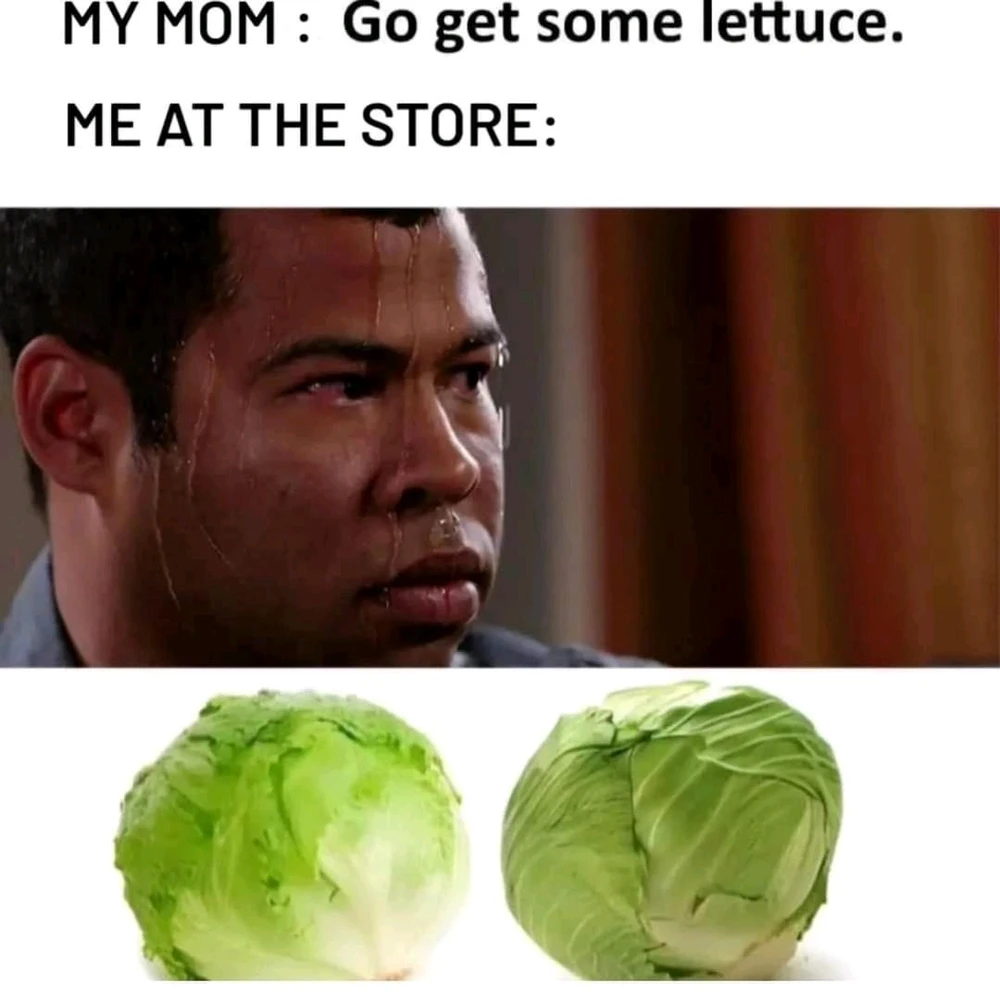 由Thomas上传的图片