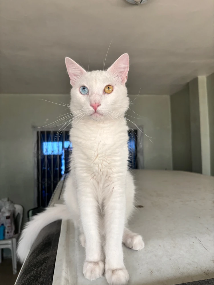 Imagen subida por James