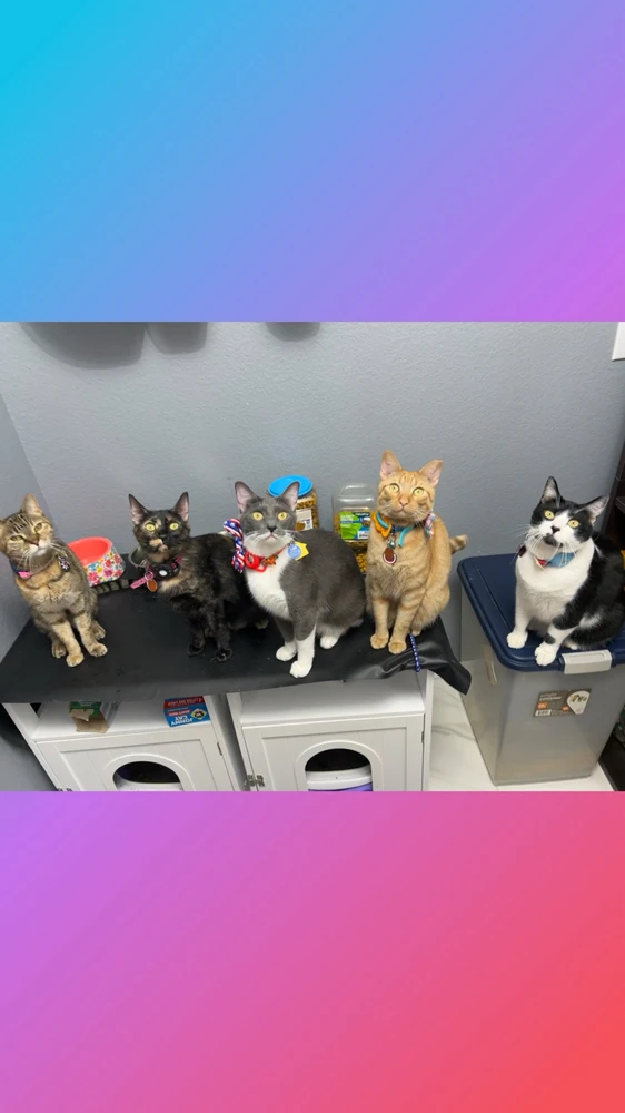 Image uploaded by Gabrielle