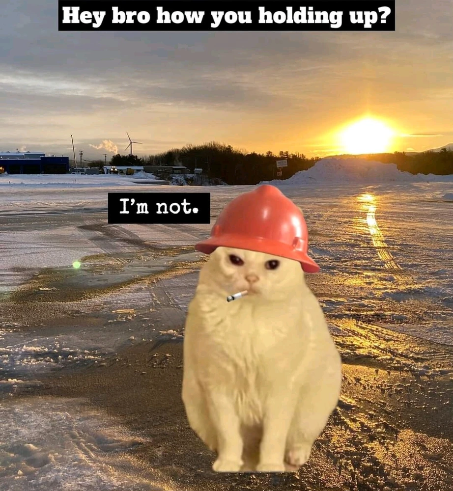 Image uploaded by Peter