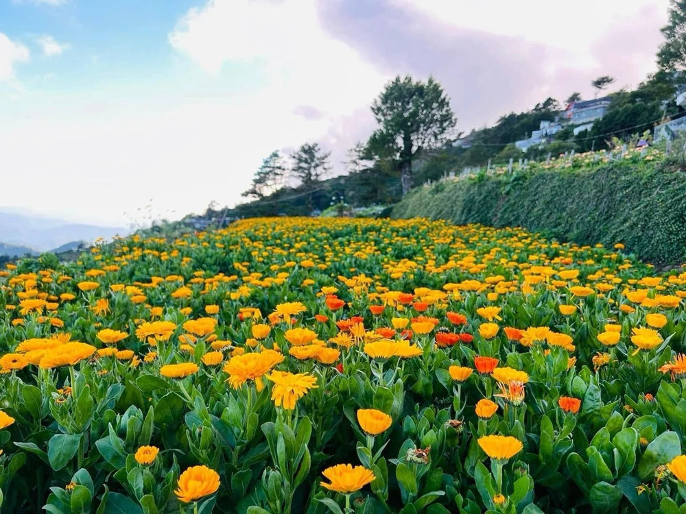 Image uploaded by Penelope