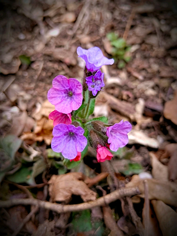 Bild hochgeladen von Kevin