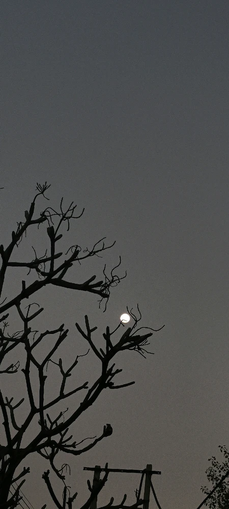 Image uploaded by 『Sky』