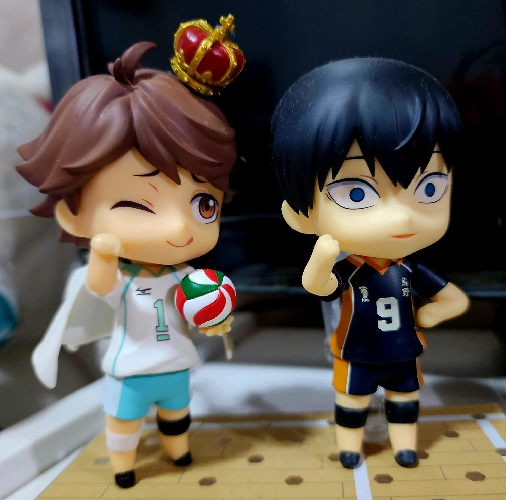 Haikyu!! nendoroid