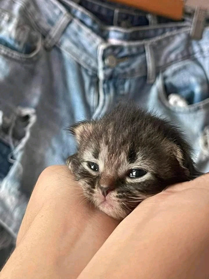 Image uploaded by yella