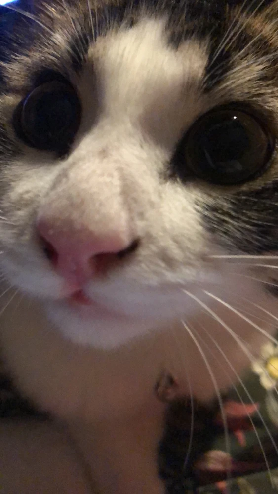 Image ajoutée par Dounia