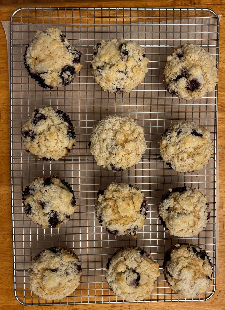 Image uploaded by Jess