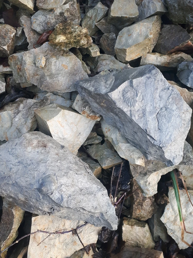 Bild hochgeladen von Herbert = ᚺᛖᚱᛒᛖᚱᛏ