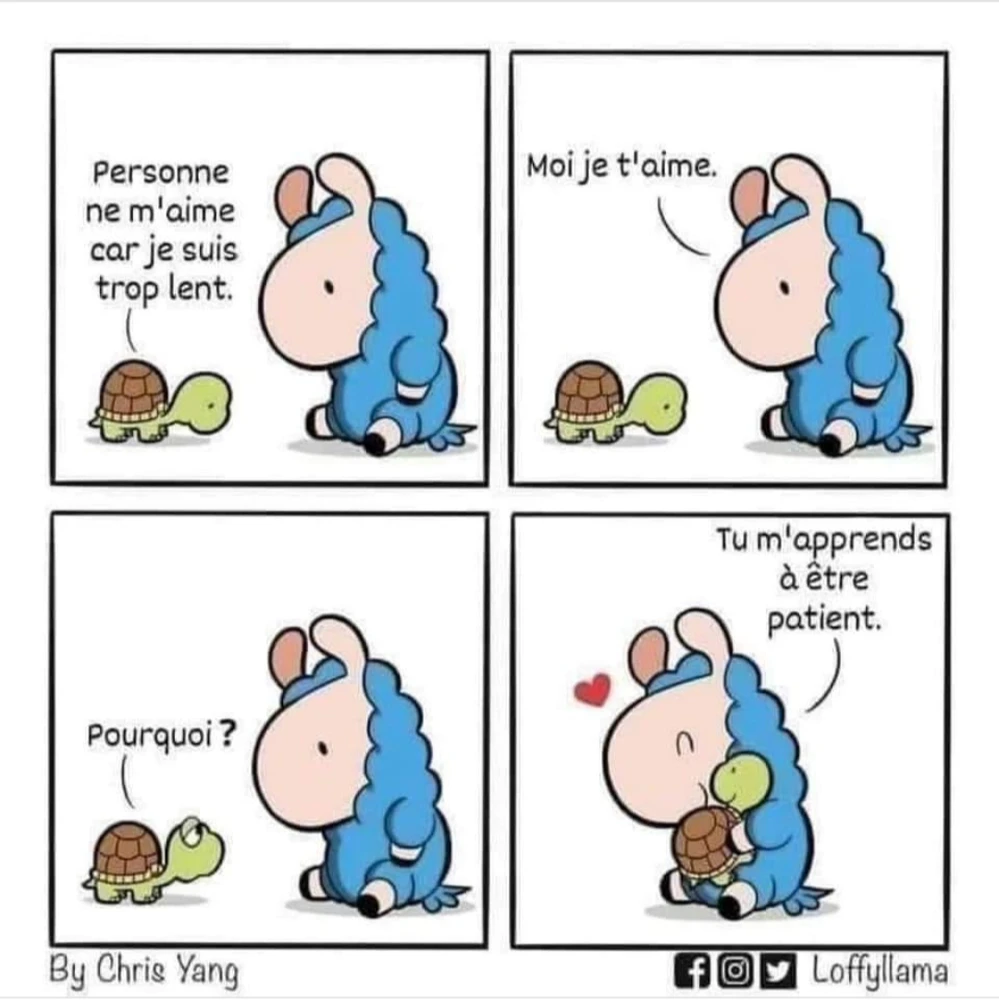 Image ajoutée par Mu 🌿