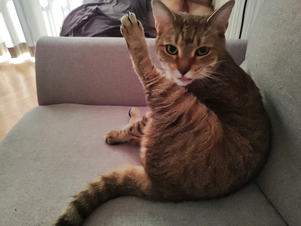 Zdjęcie dodane przez Ukie