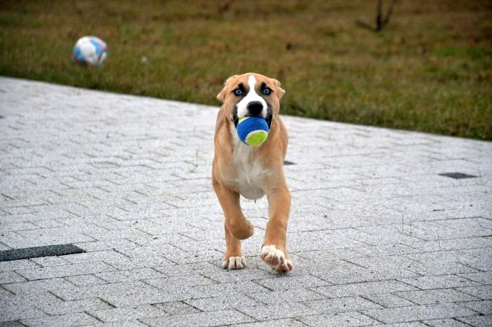 Zdjęcie dodane przez Kamil