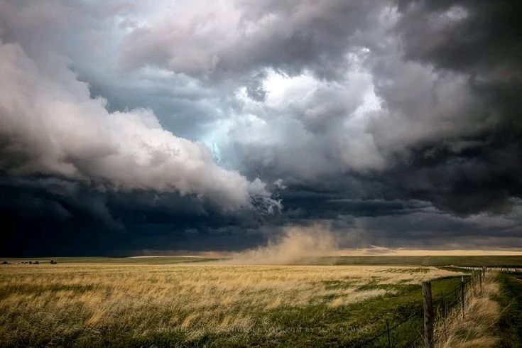 Image uploaded by J_kling