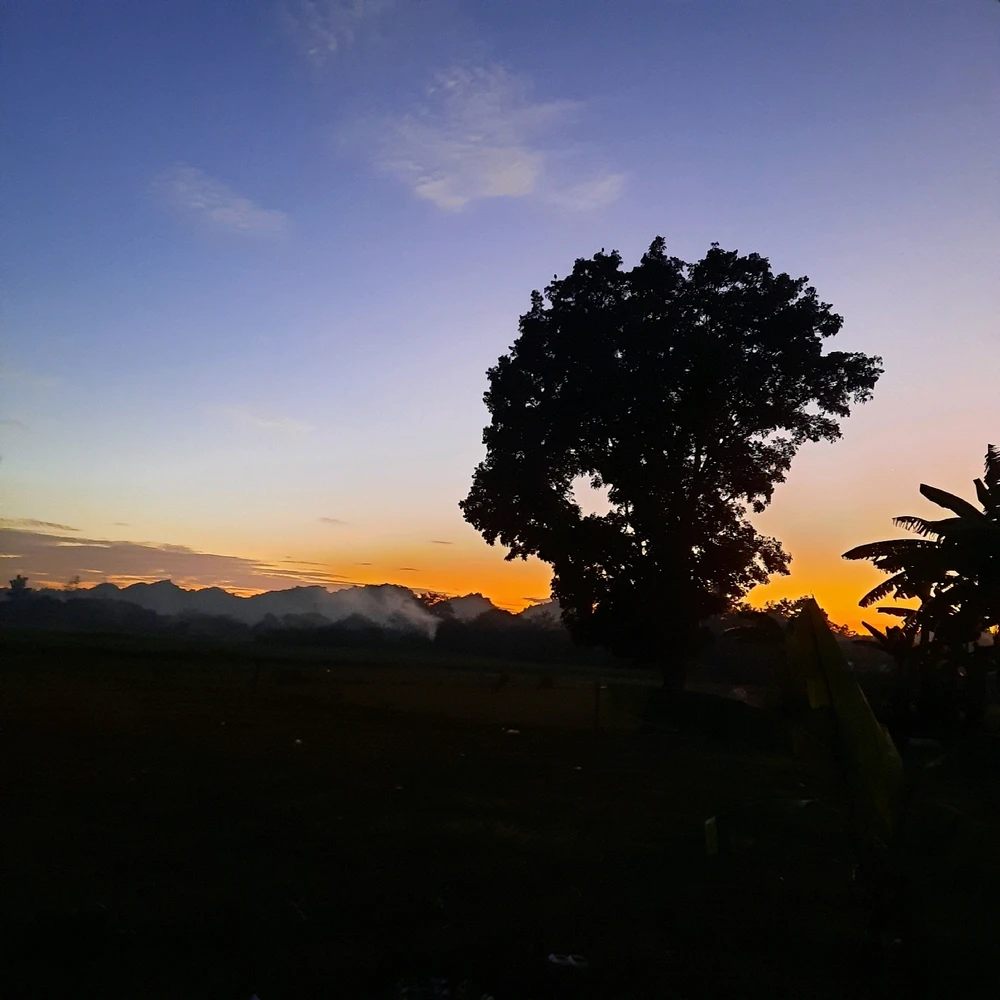 I-upload ni Flora ang larawan