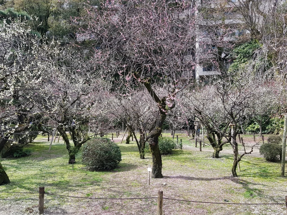 Image ajoutée par Ugo