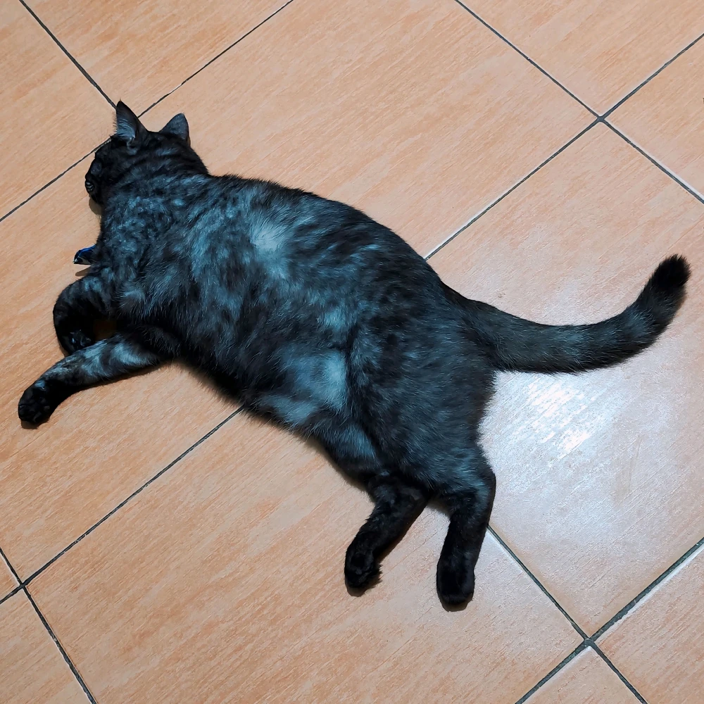 I-upload ni 𝓙𝓪𝔂𝓷𝓮 ang larawan