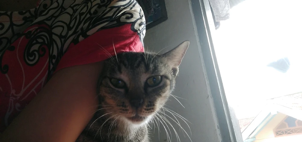 Gambar diunggah oleh MooN