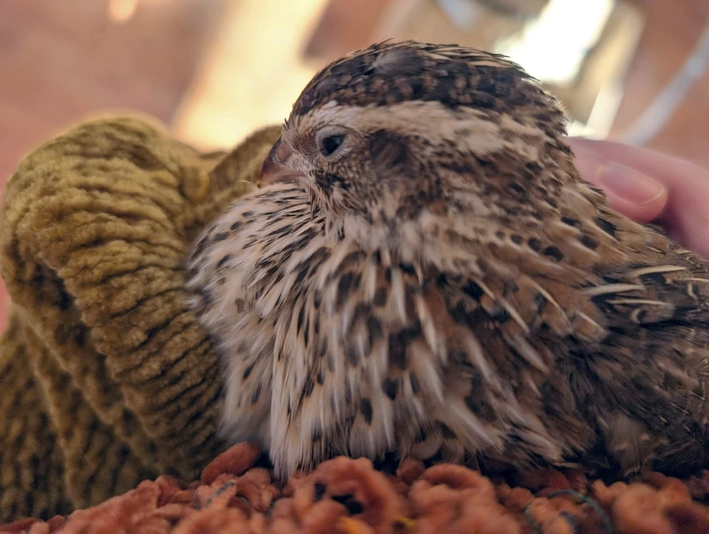 Image uploaded by Madison