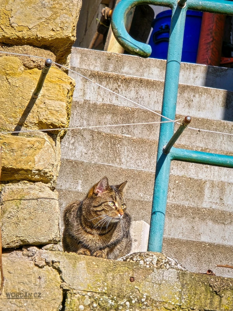 Obrázek nahrál Pavel