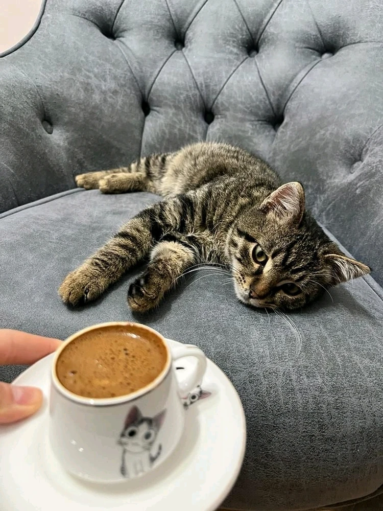 Ayşe tarafından yüklenen görsel