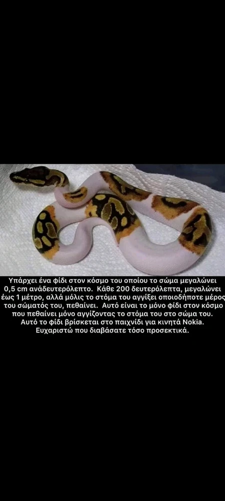 Εικόνα από Μαρίνος