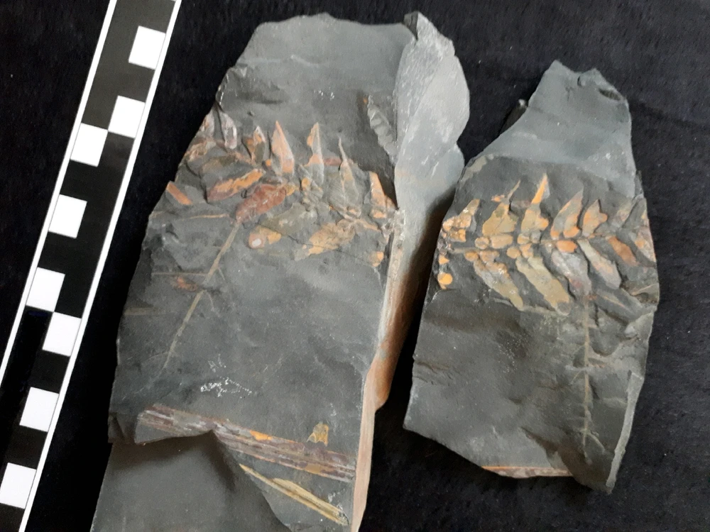 Bild hochgeladen von Herbert = ᚺᛖᚱᛒᛖᚱᛏ