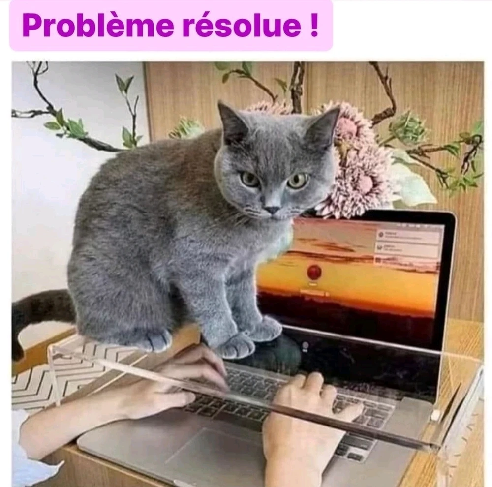 Image uploaded by Noëline