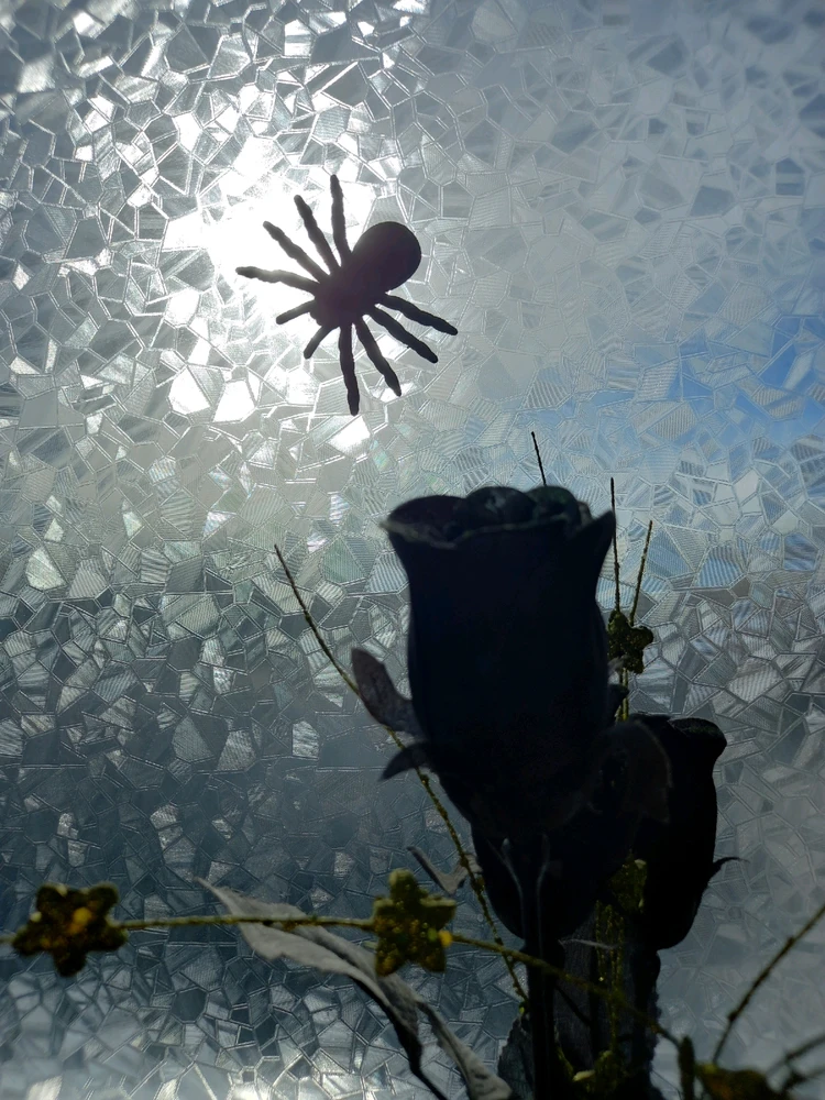 Obrázek nahrál Svatava