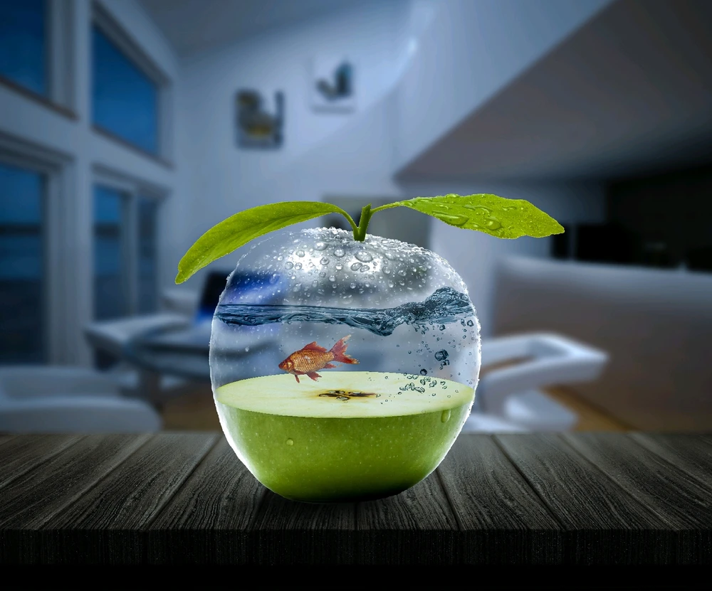 Image uploaded by D Ahmed