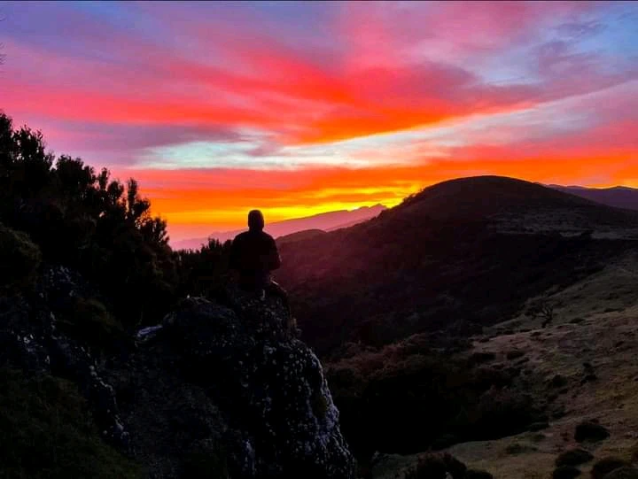 Тасвир аз Sylvain бор шуд