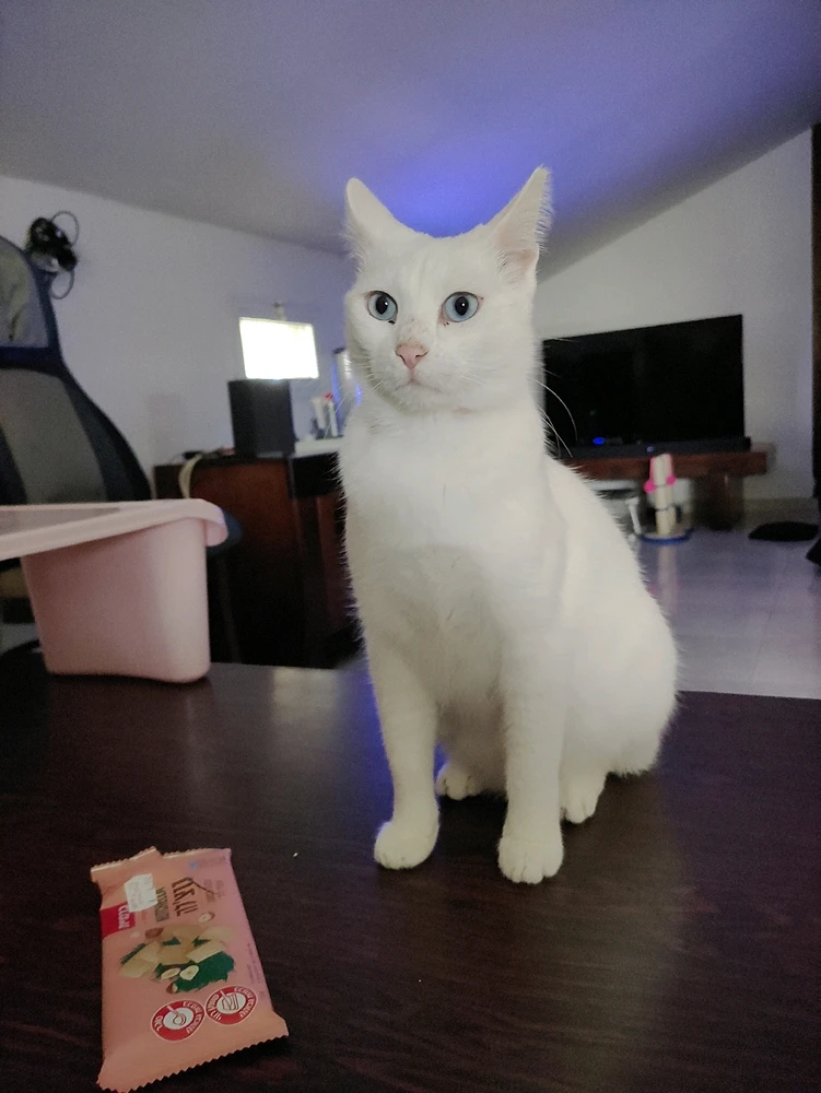 Image uploaded by Erez