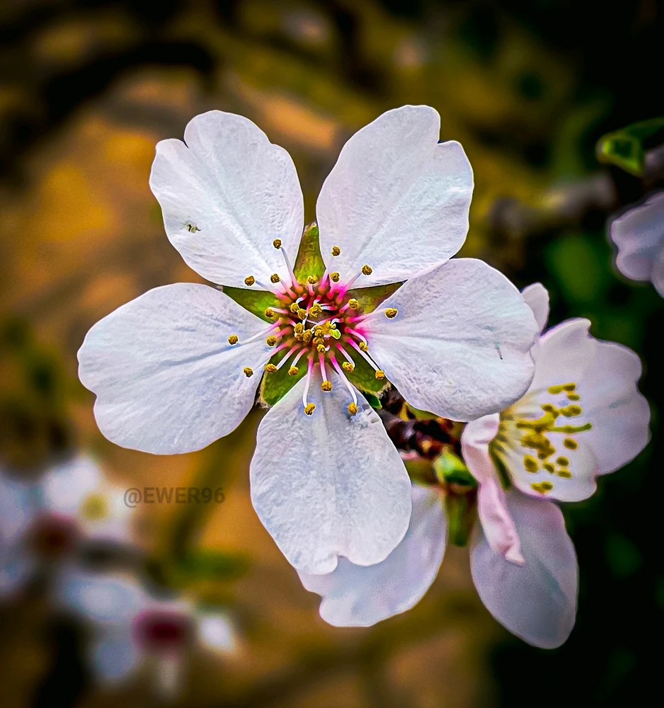 Imatge pujada per Ewerton