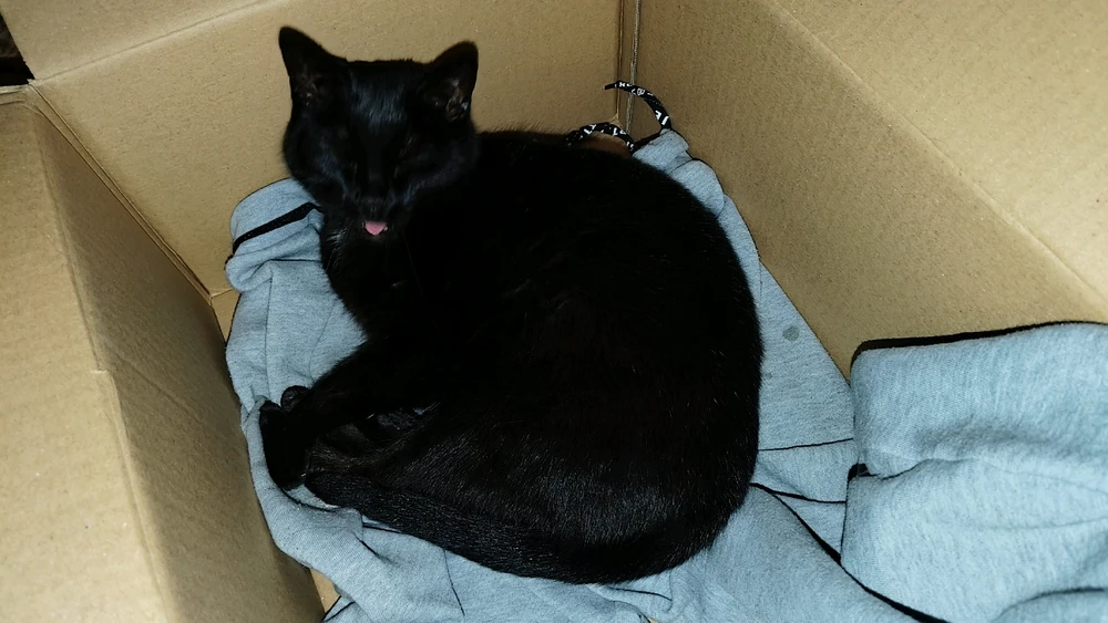 Bild hochgeladen von Jens Horl