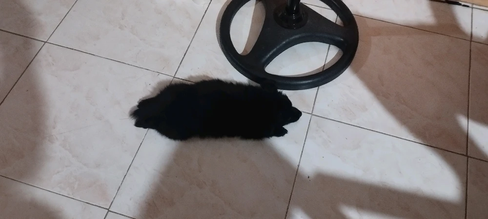 Gi-upload ni Joseph ang hulagway