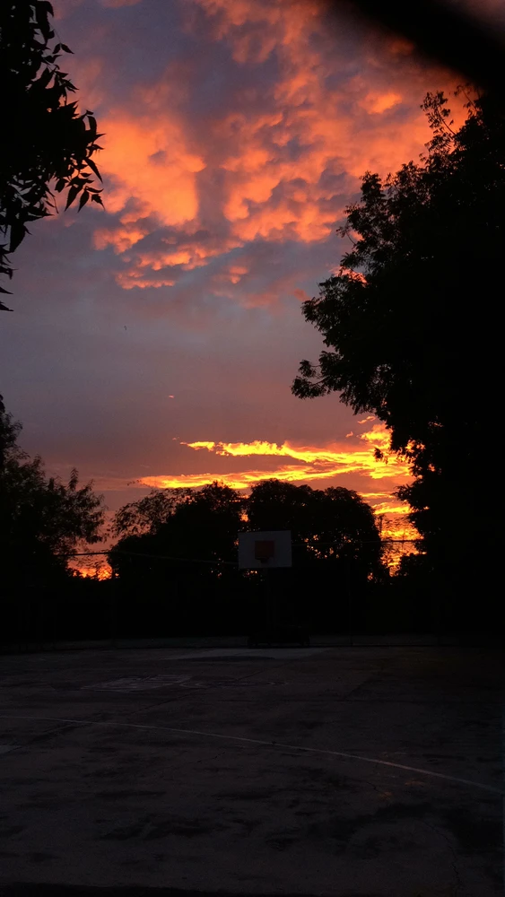 Billede uploadet af Angel