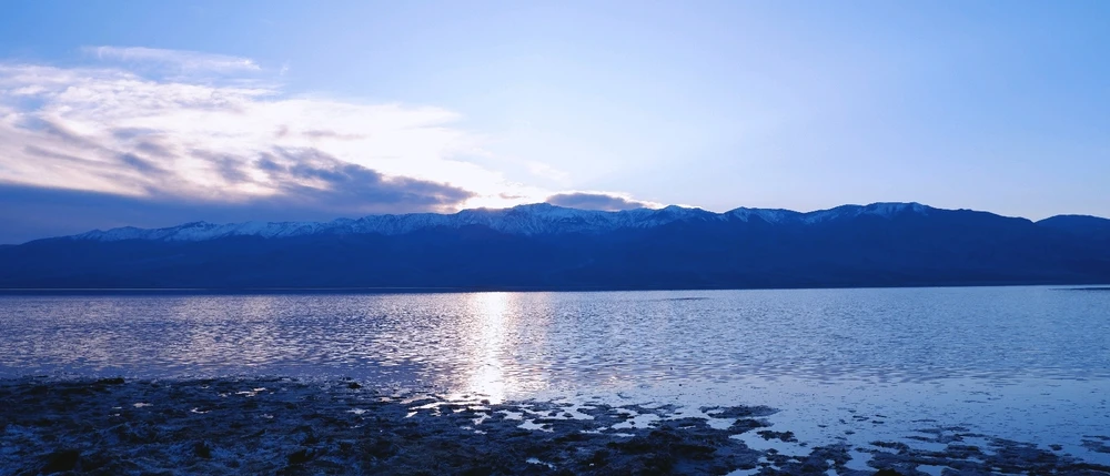 Image uploaded by Brian