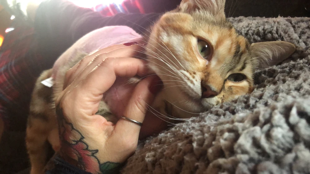 Image uploaded by Piedini