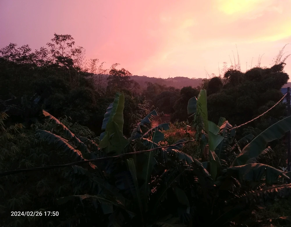 Gambar diunggah oleh Fariz