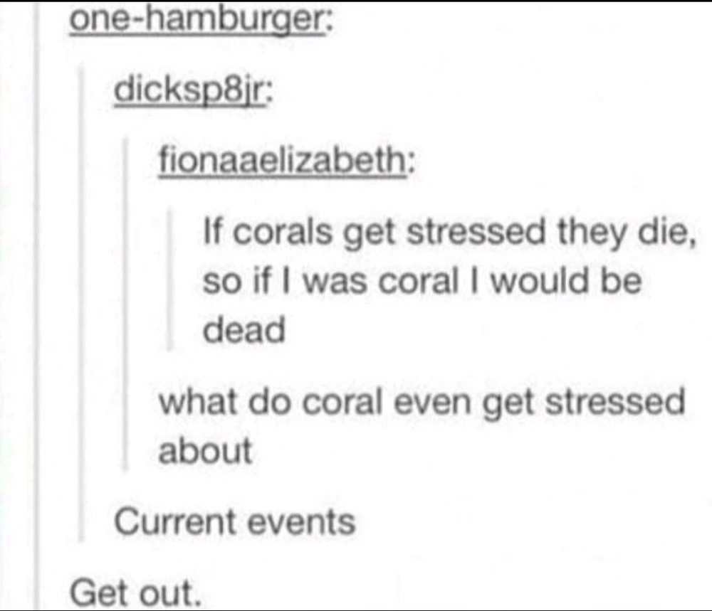 Immagine caricata da Davide