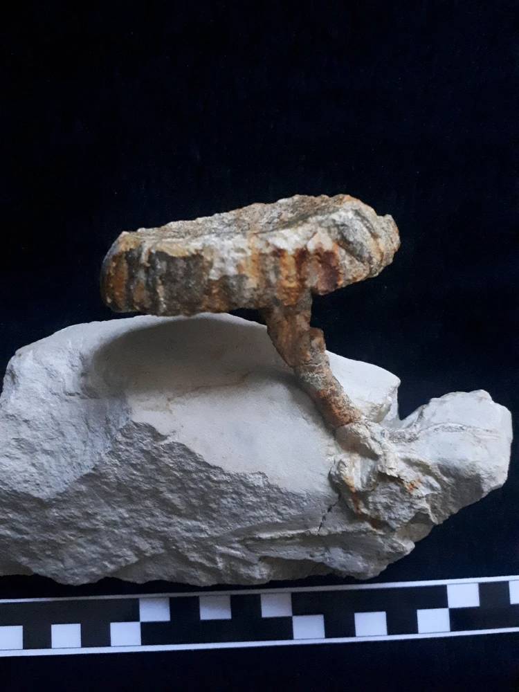 Bild hochgeladen von Herbert = ᚺᛖᚱᛒᛖᚱᛏ