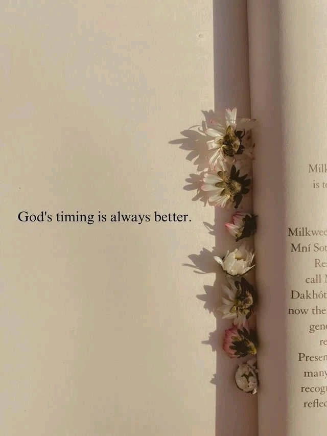 Gambar diunggah dening BaZze