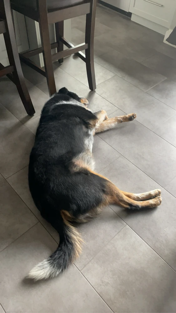 I-upload ni Janessa ang larawan