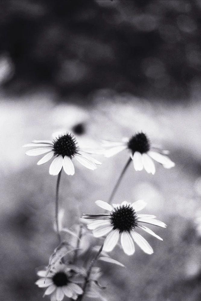 Immagine caricata da Giovanni