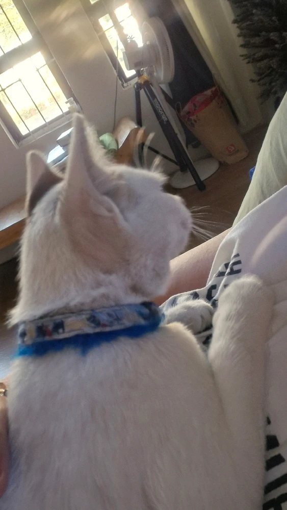 Image ajoutée par Liza