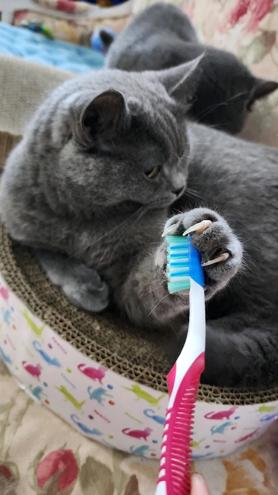 warning!!!!
-tamoody