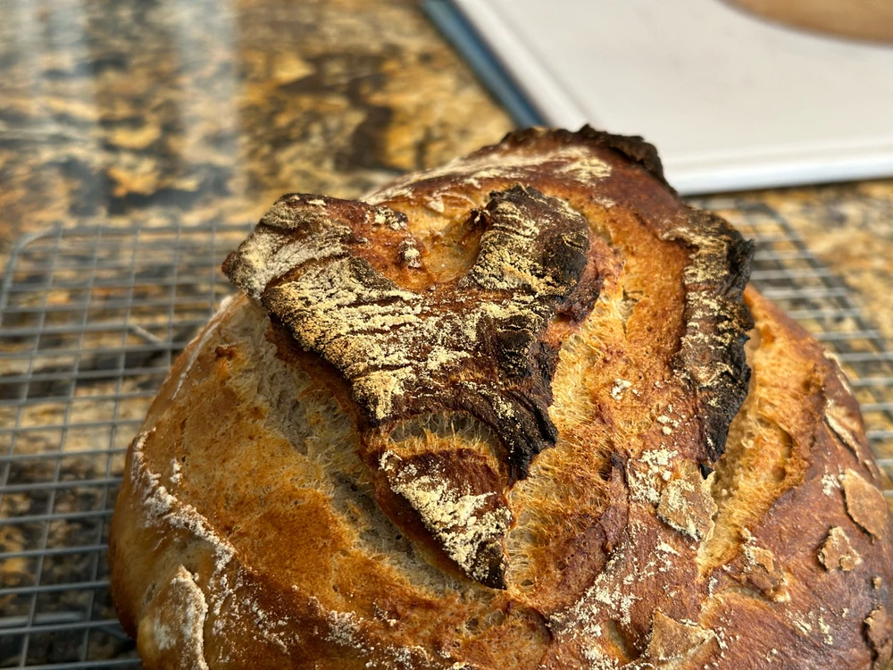 Image uploaded by Carson