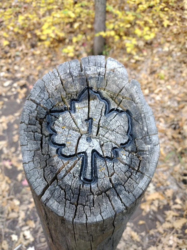 Image uploaded by J_kling